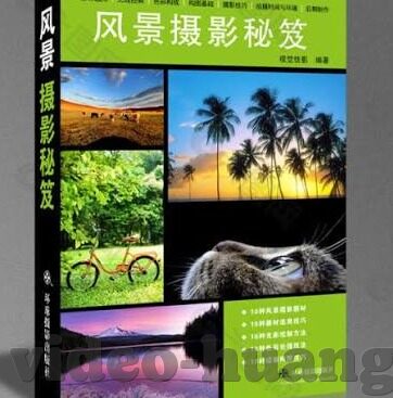 麻豆煤app破解-网络世界，真假难辨的麻豆煤APP破解迷思
